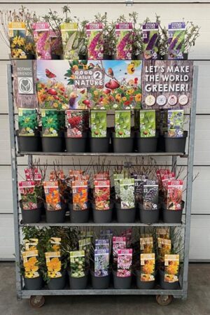 nature mix bee bird butterfly mix trolly  P19